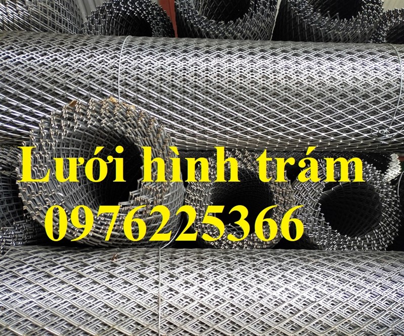 Lưới quả trám, lưới trám 20x40,